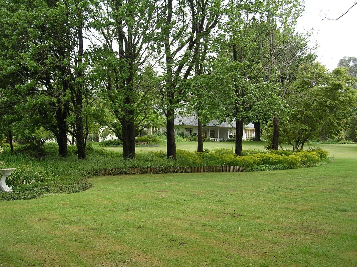 Cedar Garden Bed & Breakfast Underberg Dış mekan fotoğraf